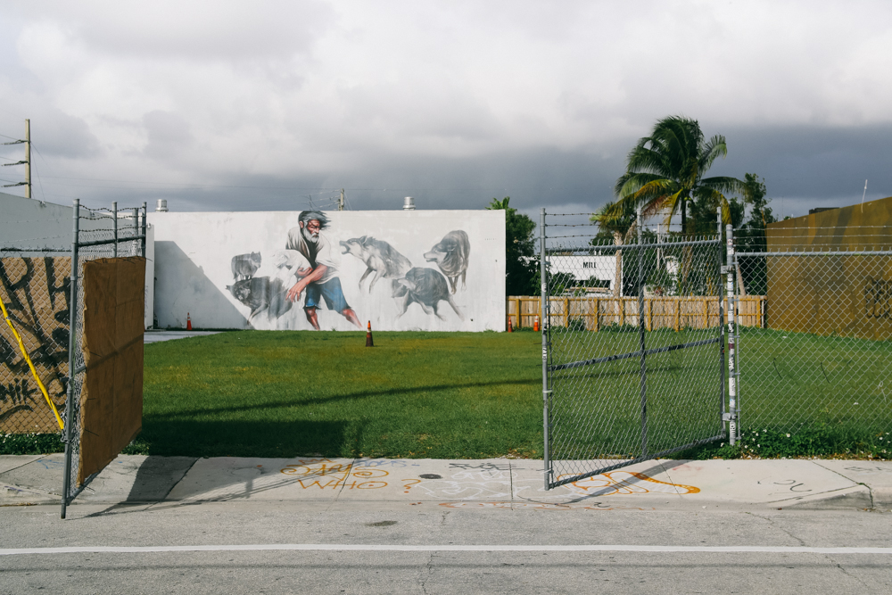 Marcus Werner // Visual Storytelling