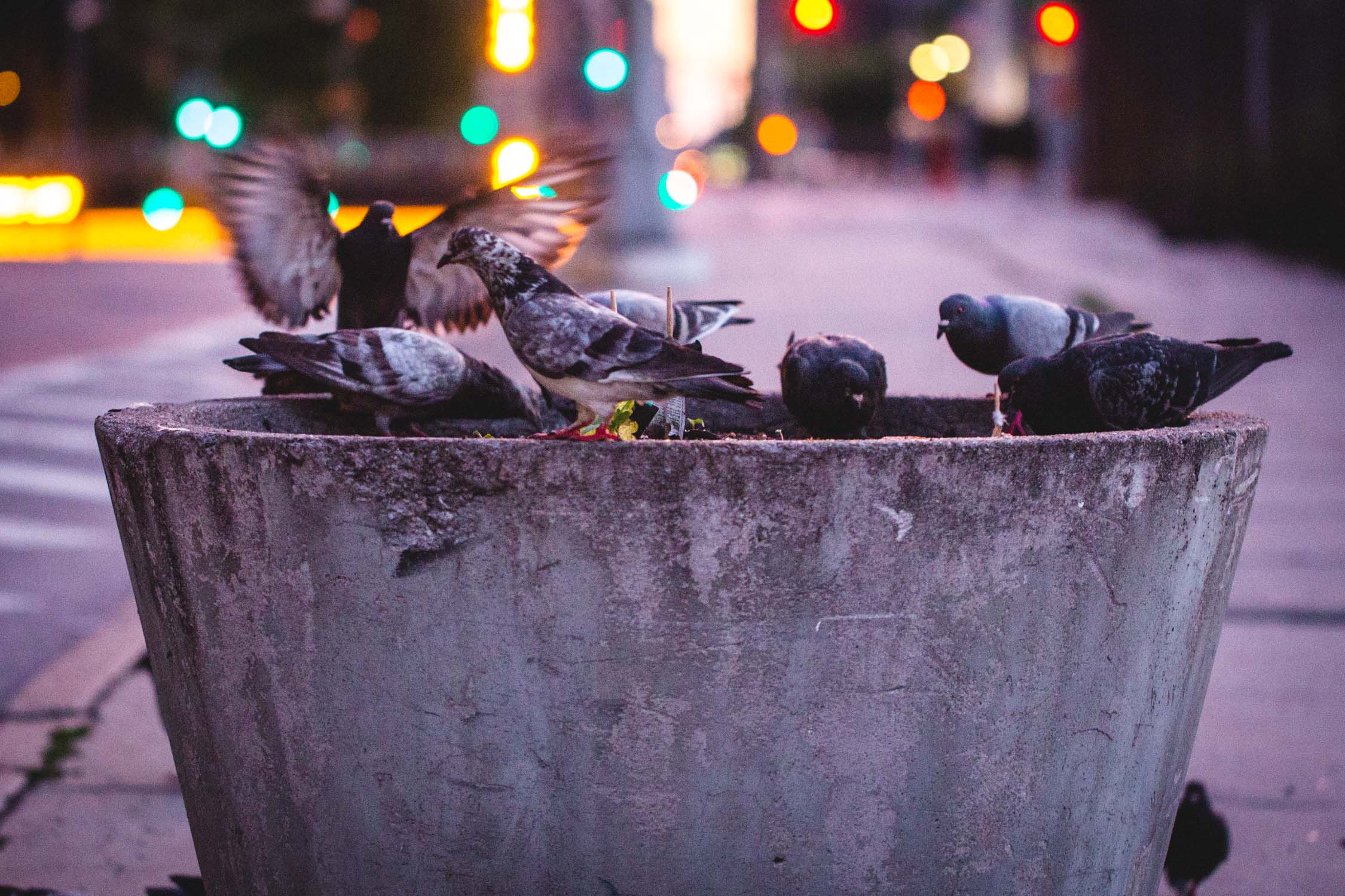 Marcus Werner // Visual Storytelling