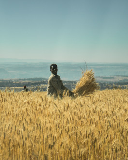 Marcus Werner // Visual Storytelling