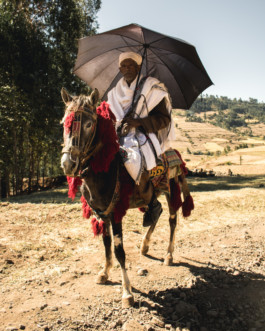 Marcus Werner // Visual Storytelling