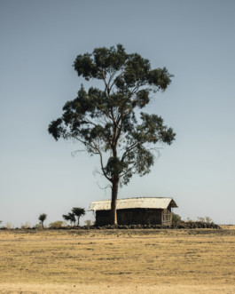 Marcus Werner // Visual Storytelling