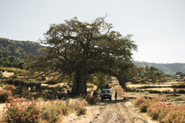 Marcus Werner // Visual Storytelling