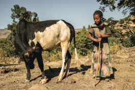 Marcus Werner // Visual Storytelling