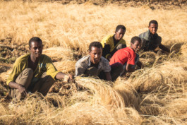 Marcus Werner // Visual Storytelling