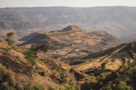 Marcus Werner // Visual Storytelling