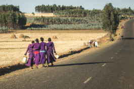 Marcus Werner // Visual Storytelling