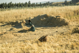 Marcus Werner // Visual Storytelling