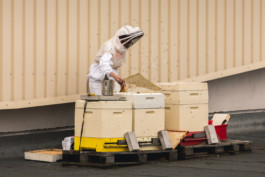 Marcus Werner // Visual Storytelling