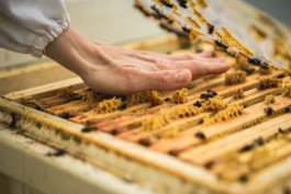 Marcus Werner // Visual Storytelling