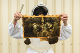 Marcus Werner // Visual Storytelling