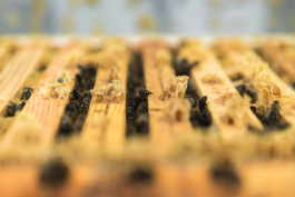 Marcus Werner // Visual Storytelling