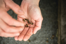 Marcus Werner // Visual Storytelling