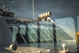 Marcus Werner // Visual Storytelling