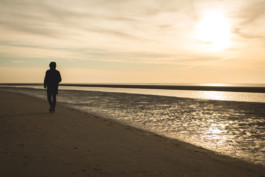 Marcus Werner // Visual Storytelling