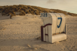 Marcus Werner // Visual Storytelling