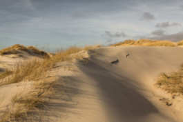 Marcus Werner // Visual Storytelling