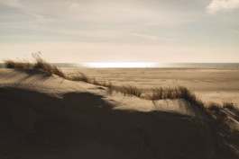 Marcus Werner // Visual Storytelling