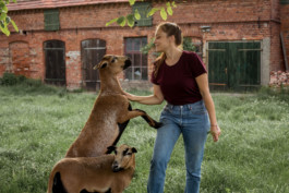 Marcus Werner // Visual Storytelling