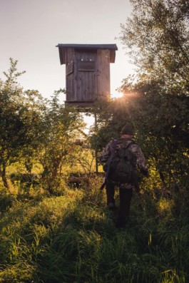 Marcus Werner // Visual Storytelling