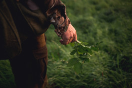 Marcus Werner // Visual Storytelling