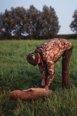 Marcus Werner // Visual Storytelling