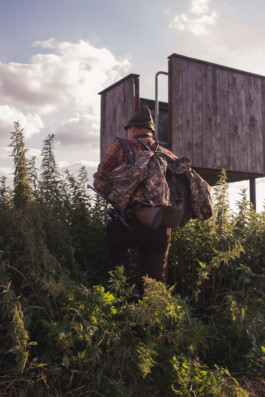 Marcus Werner // Visual Storytelling