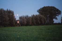 Marcus Werner // Visual Storytelling