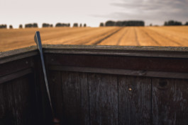 Marcus Werner // Visual Storytelling