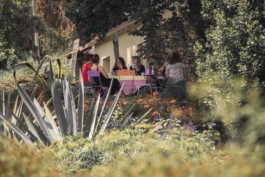 Marcus Werner // Visual Storytelling