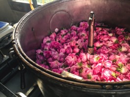 Marcus Werner // Visual Storytelling