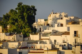 Marcus Werner // Visual Storytelling