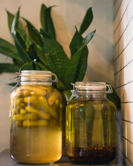 Marcus Werner // Visual Storytelling