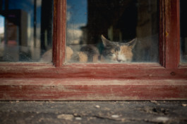 Marcus Werner // Visual Storytelling