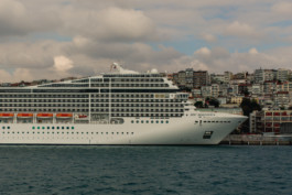 Marcus Werner // Visual Storytelling