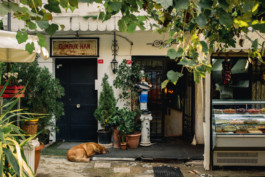 Marcus Werner // Visual Storytelling