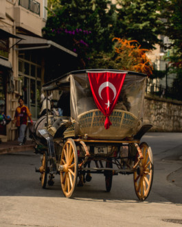 Marcus Werner // Visual Storytelling