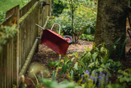 Marcus Werner // Visual Storytelling