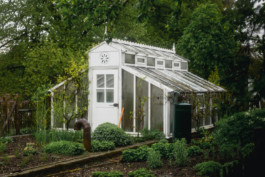 Marcus Werner // Visual Storytelling