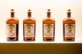 Marcus Werner // Visual Storytelling