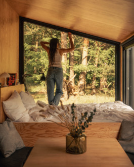 Marcus Werner // Visual Storytelling