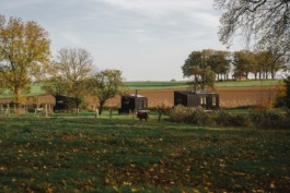 Marcus Werner // Visual Storytelling