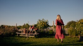 Marcus Werner // Visual Storytelling