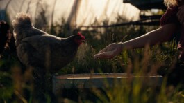 Marcus Werner // Visual Storytelling