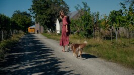 Marcus Werner // Visual Storytelling