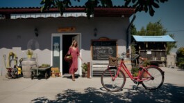 Marcus Werner // Visual Storytelling