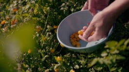 Marcus Werner // Visual Storytelling